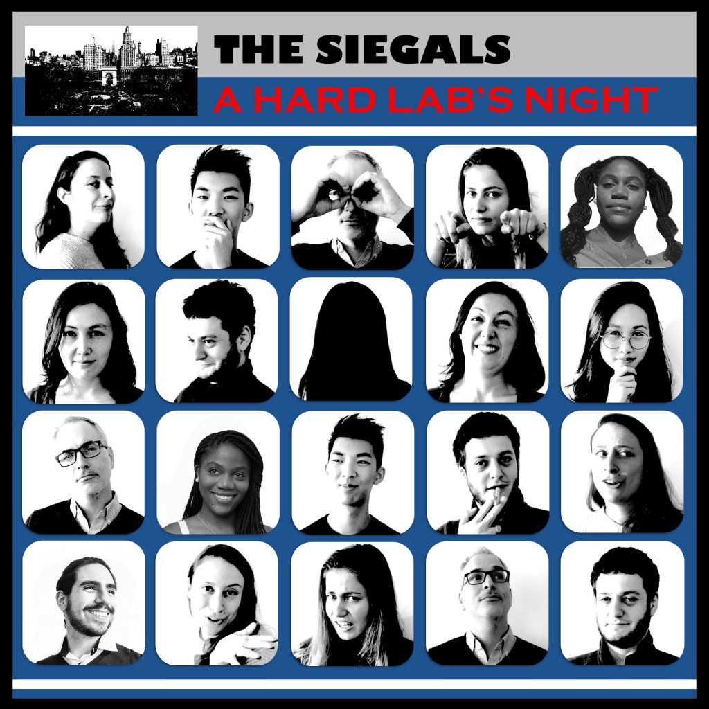 The Siegals