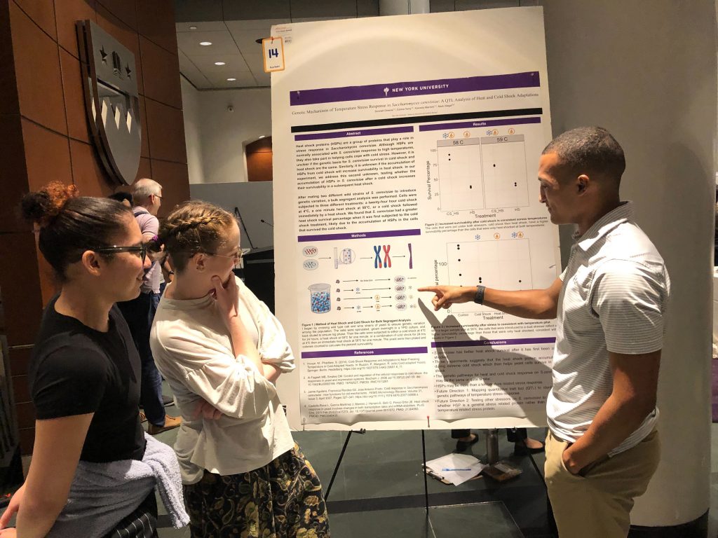 Donnell presents a poster at the Summer Undergraduate Research Symposium